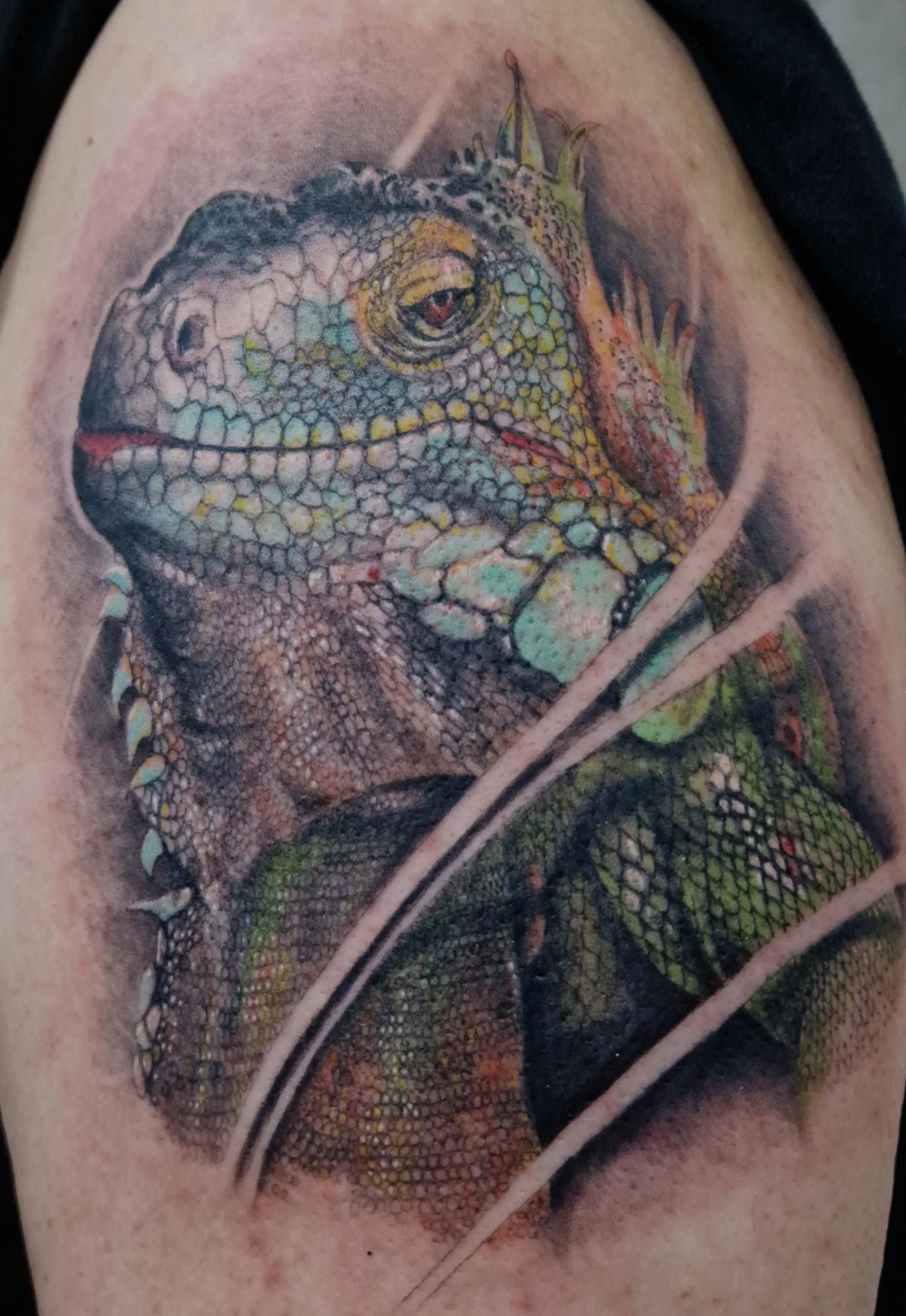 my zilla tattoo-done two years ago