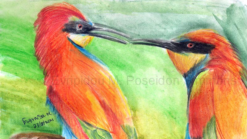 european bee eaters