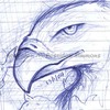 eagle sketch