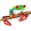 treefrog