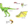 dilophodragon anatomy