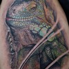 my zilla tattoo-done two years ago