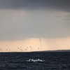 10-11-2024 waterspout at Lady's mile Cyprus