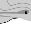 bottlenose dolphin face stylized