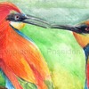 european bee eaters