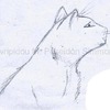 cat sketch