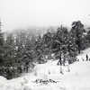 29-1-2012 troodos Cyprus