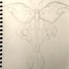 Luna Moth