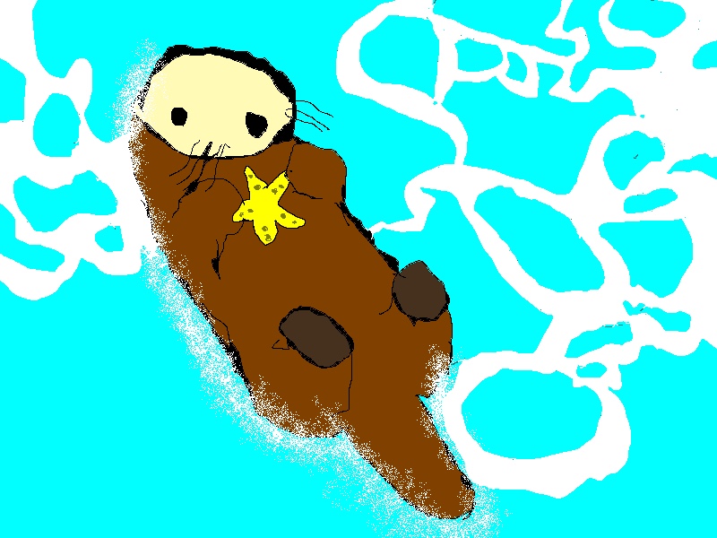 sea otter