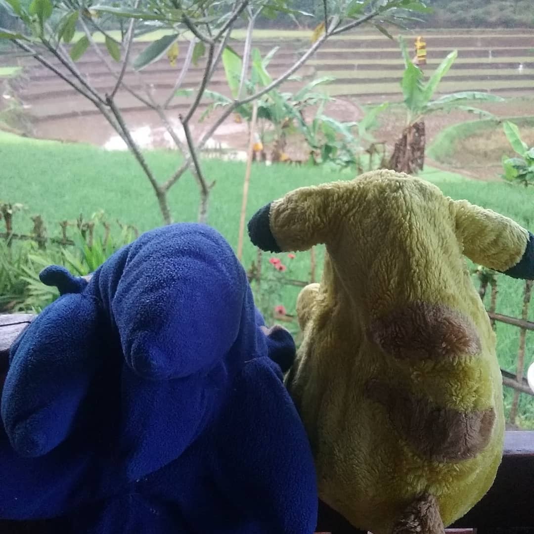 Sonic and Pikachu looks at the farm