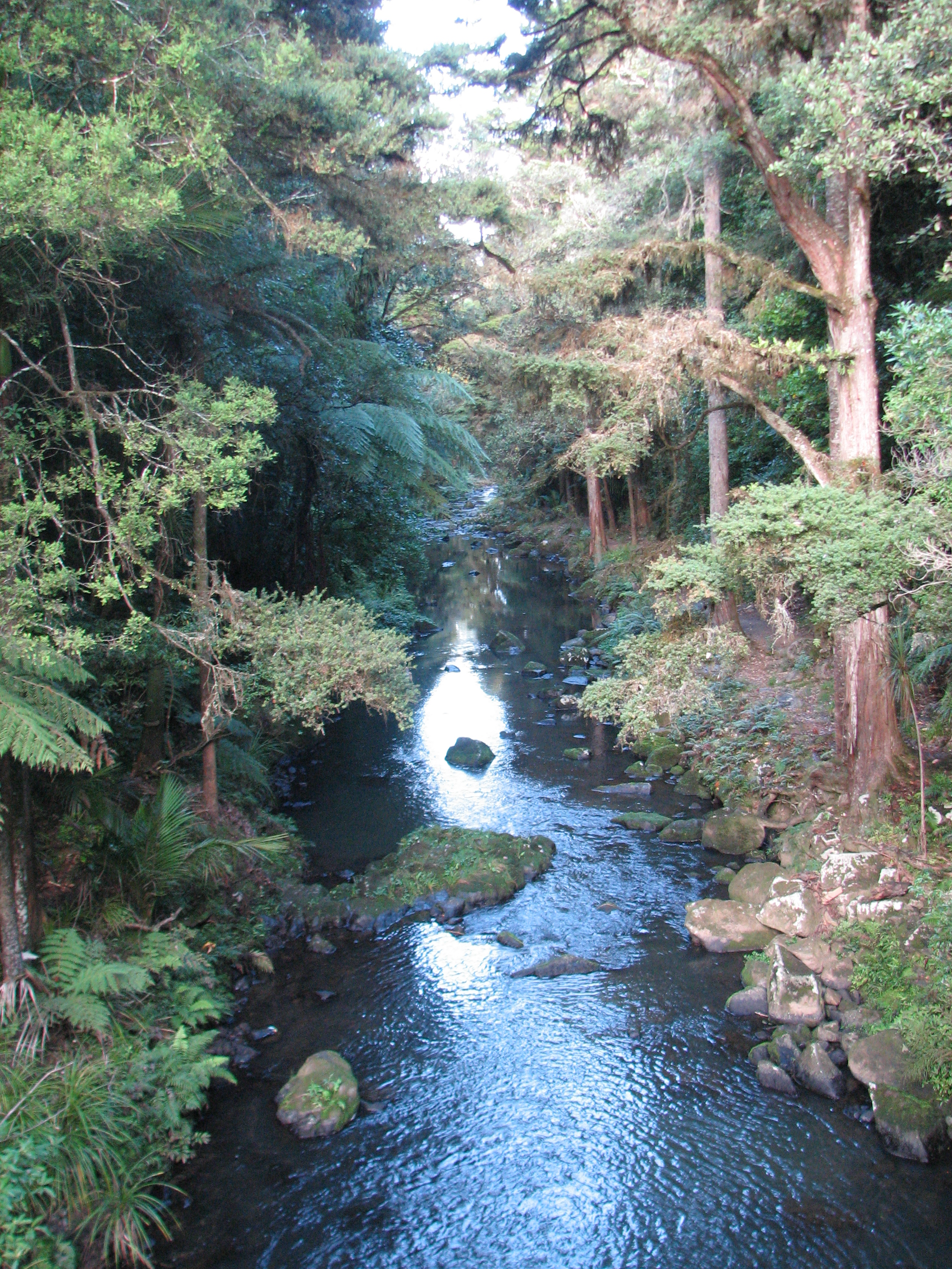 Hatea River Southbound