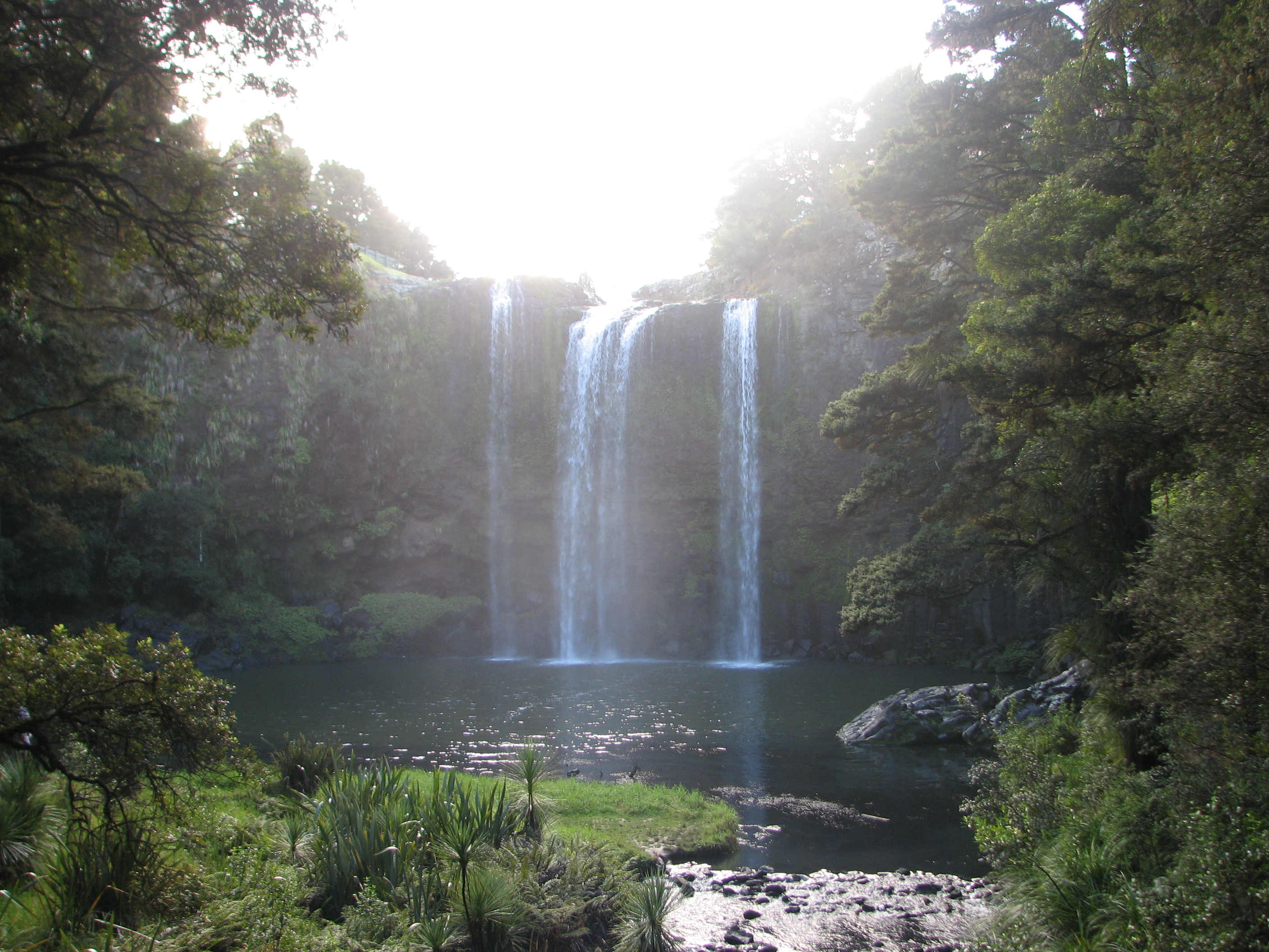 Whangarei Falls