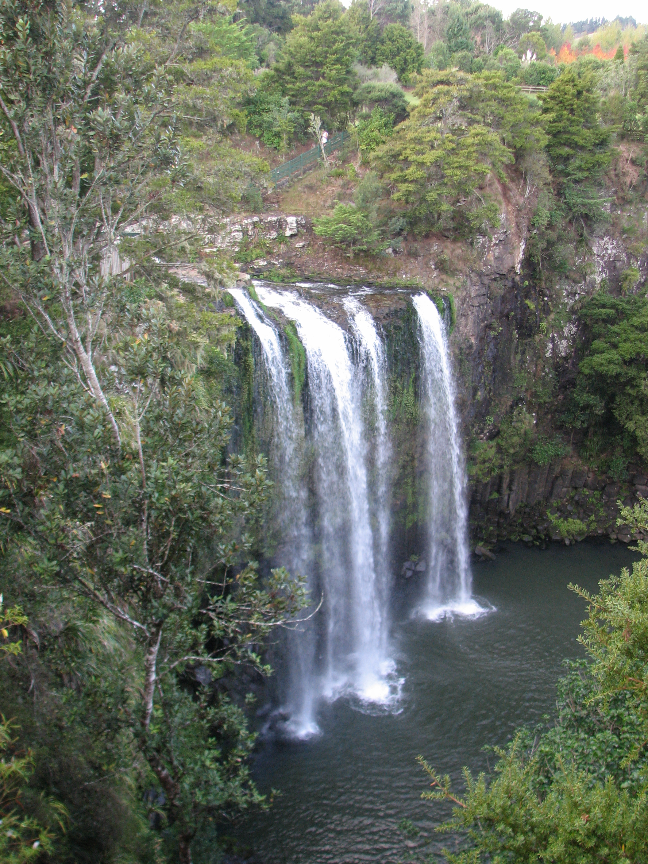 Whangarei Falls Northeast