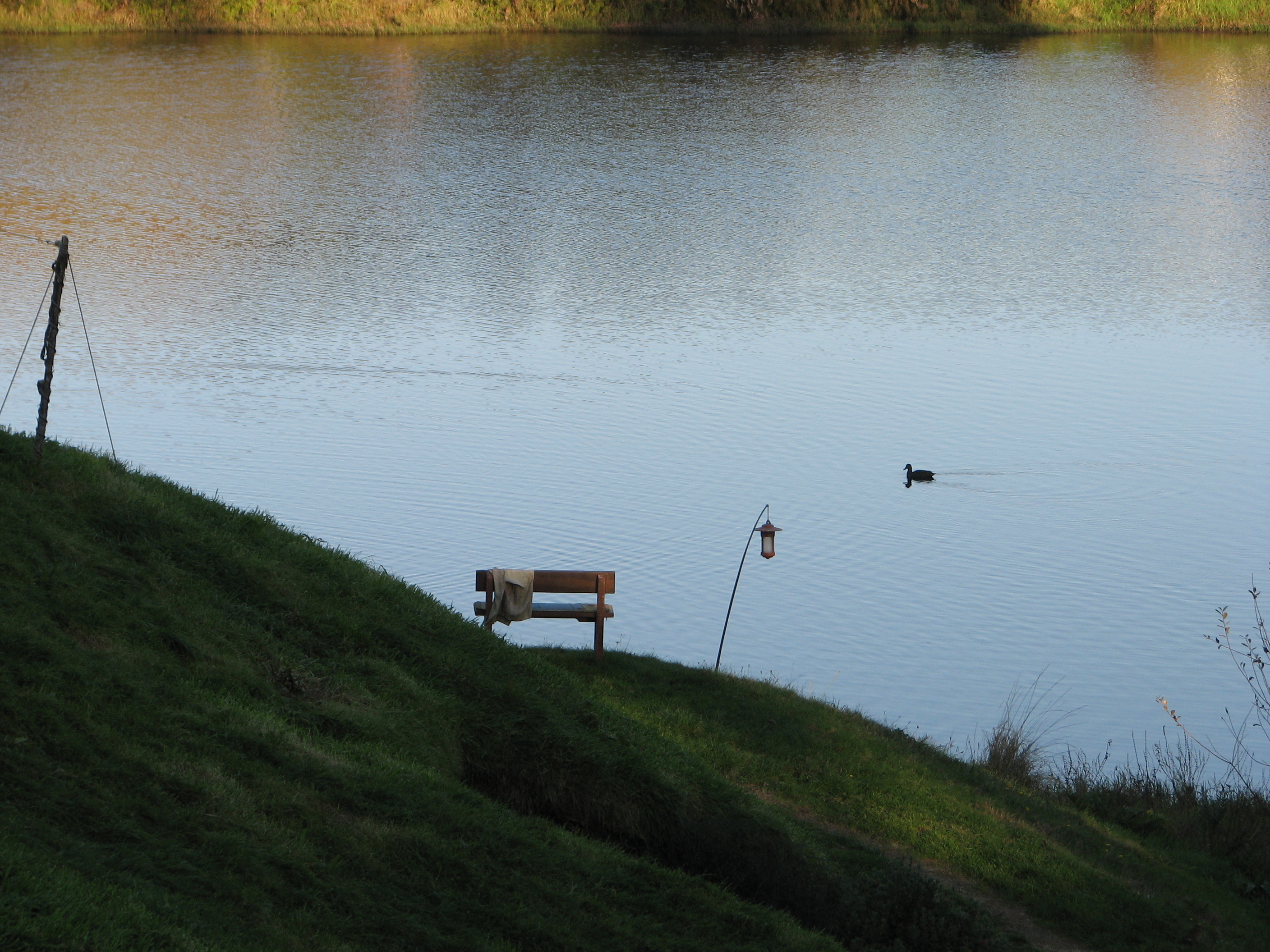 Lake Lookout