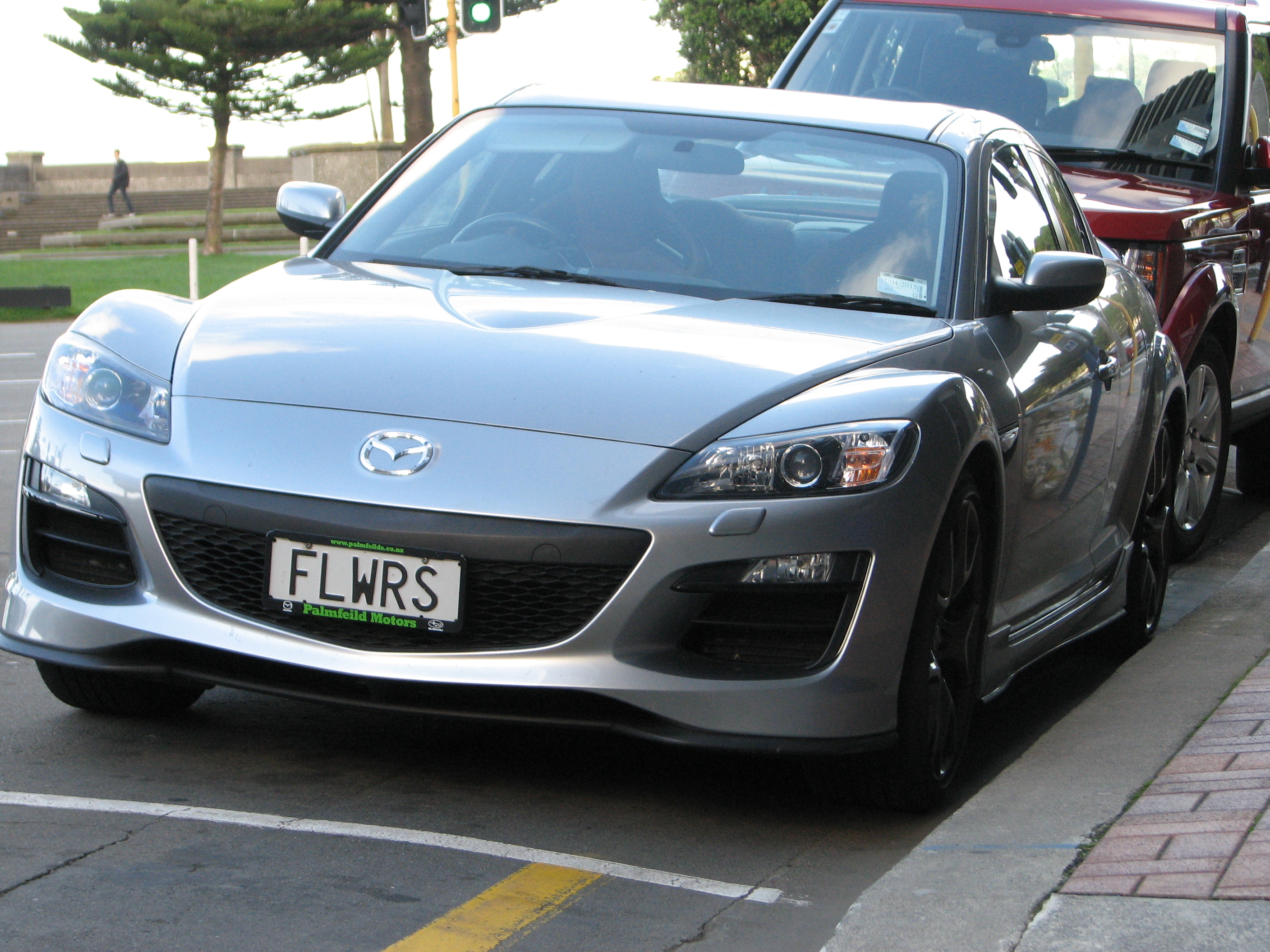 Kiwi Vanity Plate 11