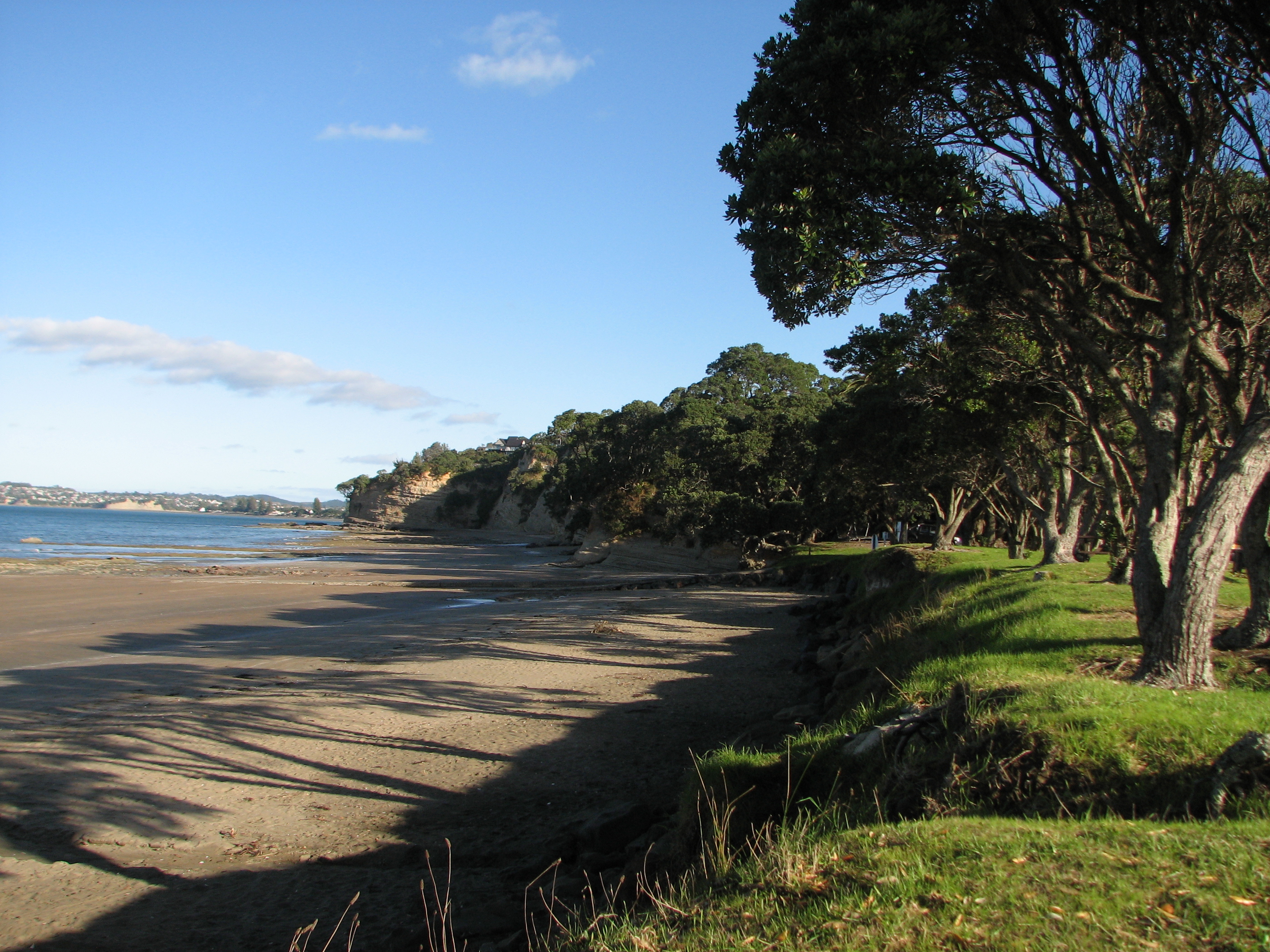 Shady Beach