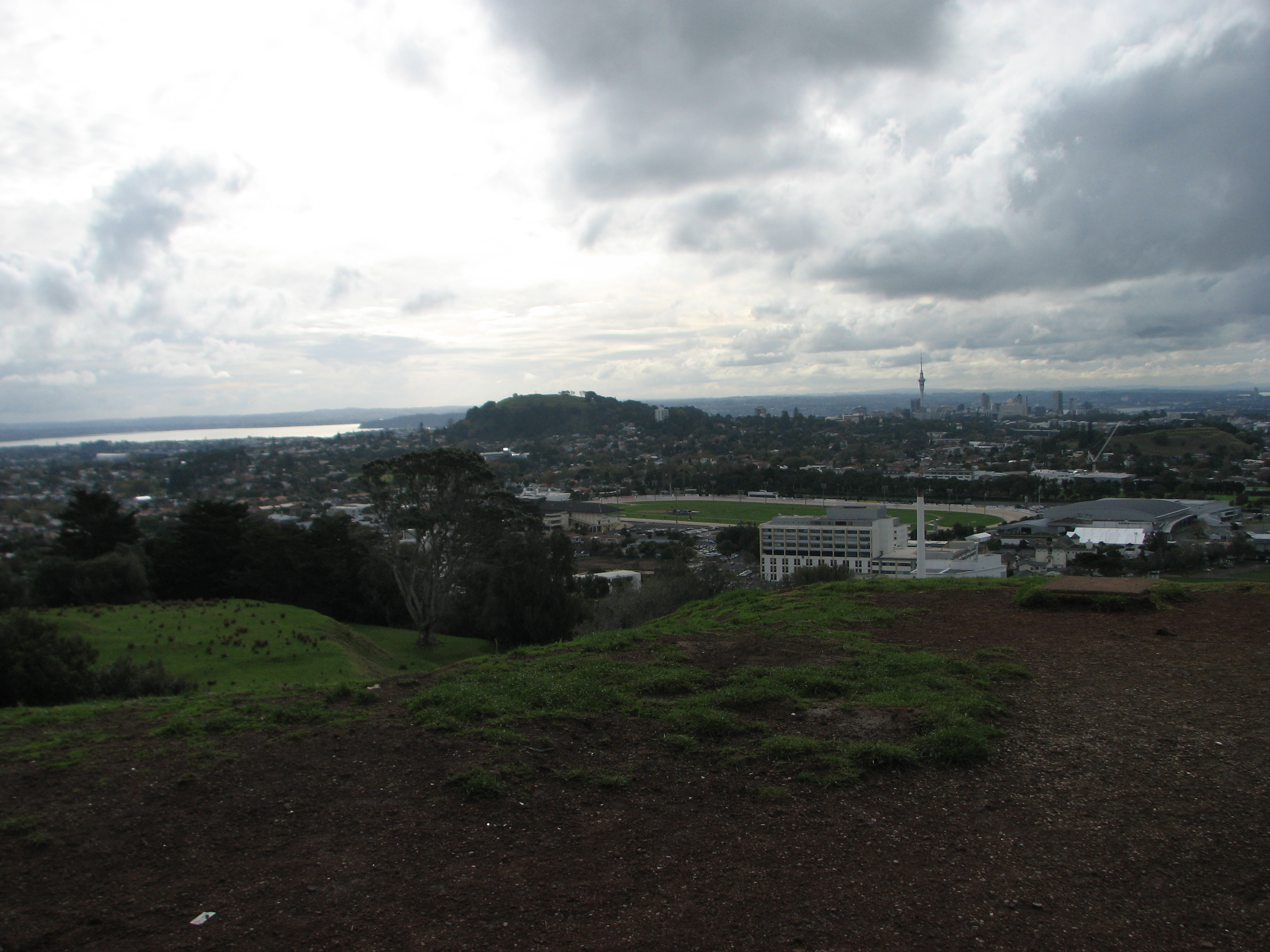 Auckland Panorama 1