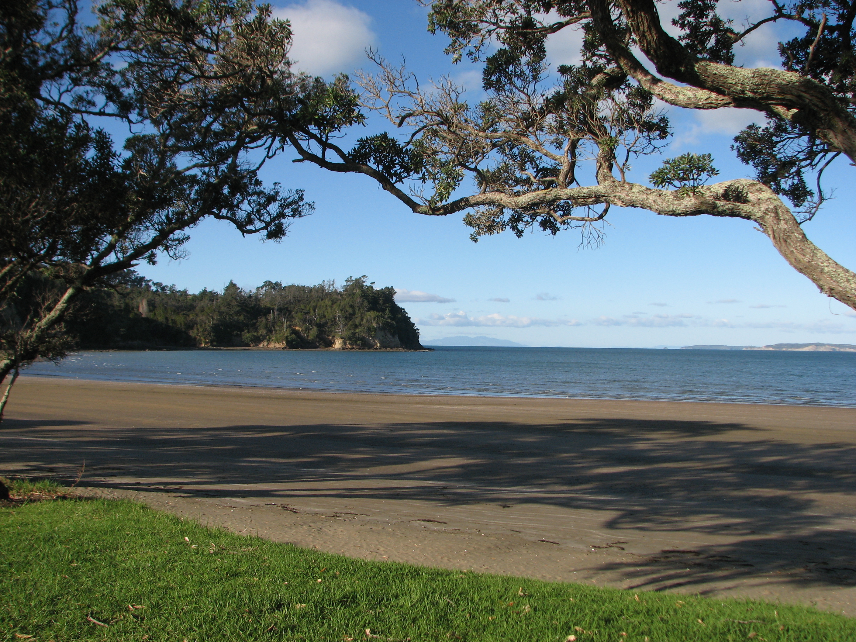 Hatfields Beach Northeast