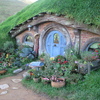 Hobbit hole 14