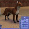 SIMS 2 FOX LAWL