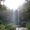 Whangarei Falls