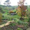 Hobbit garden