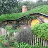 Hobbit hole 2