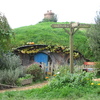 Hobbit hole 4