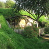 Hobbit hole 1