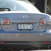 Kiwi Vanity Plate 09