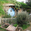 Hobbit hole 3