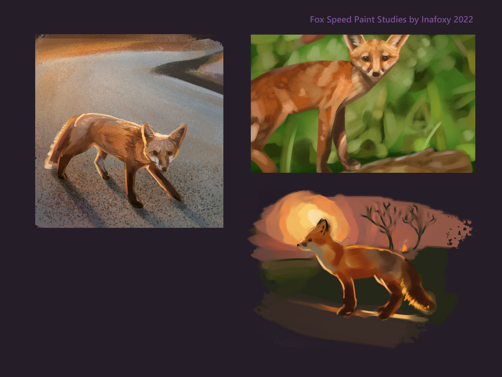 Quick Fox Painting Studies