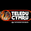 Teledu Cymru (1982)