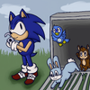 Sonic Freeing Animals