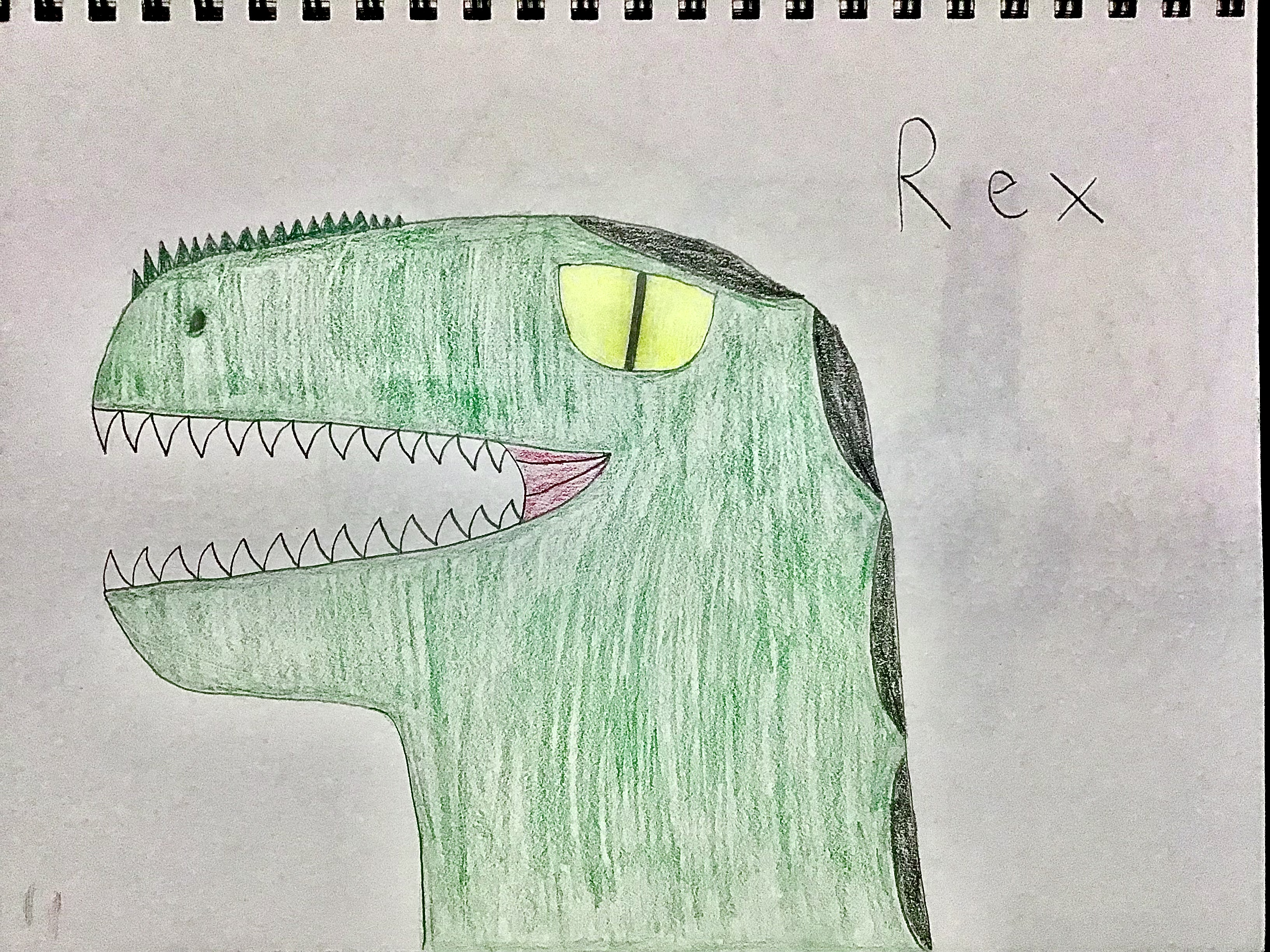 Rex