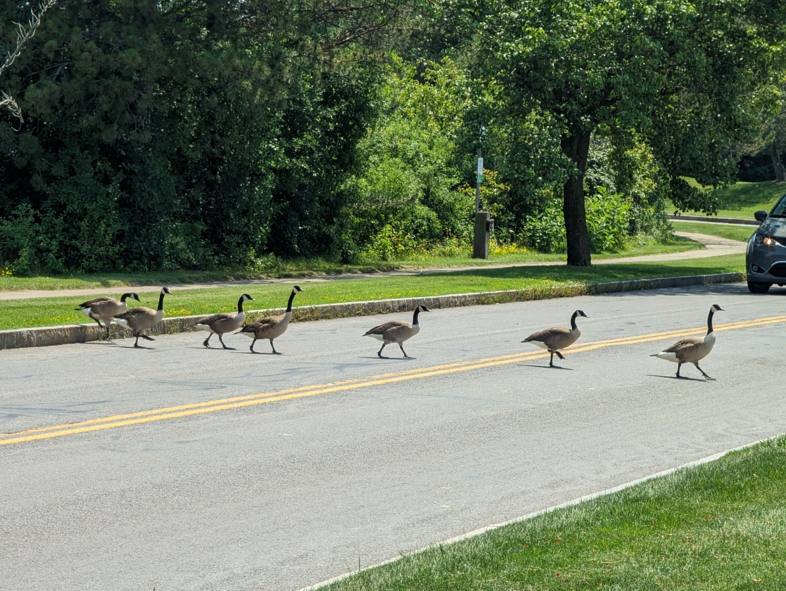 Remember to look both ways before you cross the street