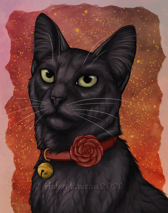 Narcissa Portrait