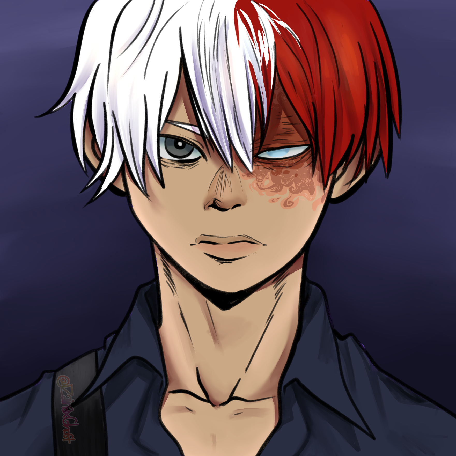 Todoroki redesign