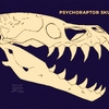 psyrap skull