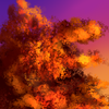 Brush practice 1, autumn leaves