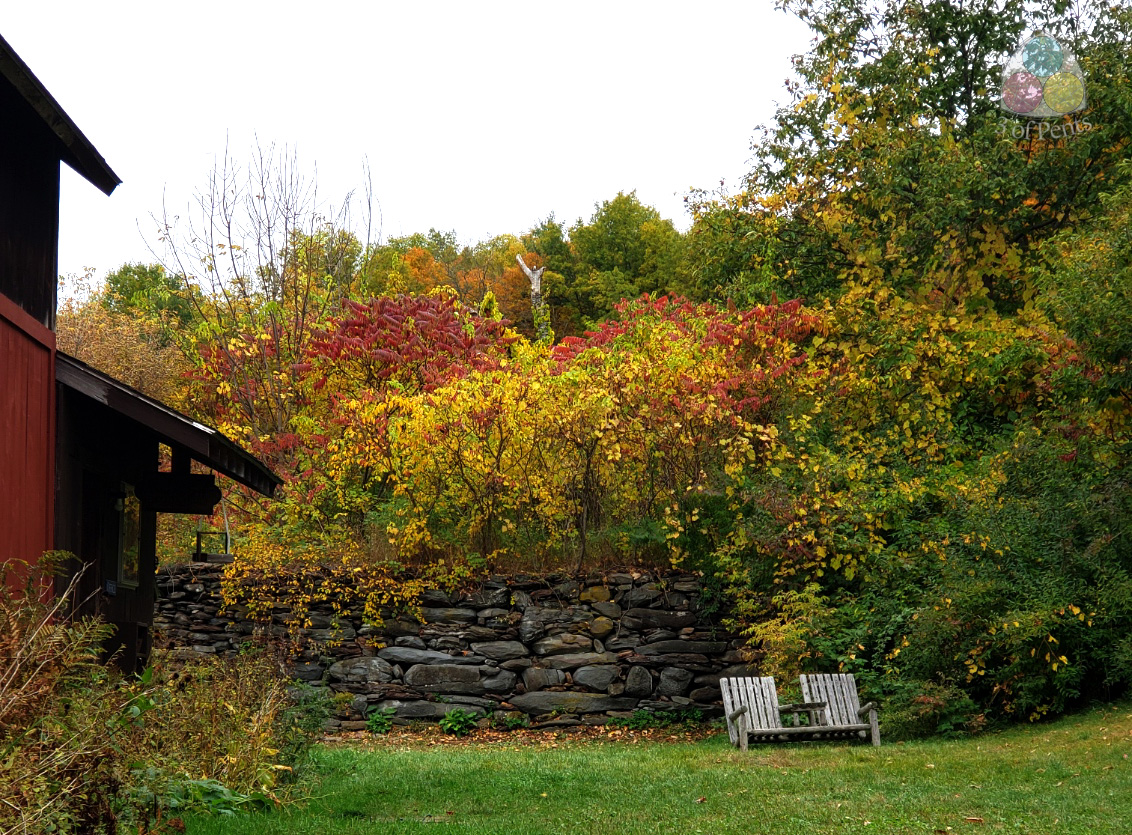 Photography // Bonnyvale Environmental Education Center #2