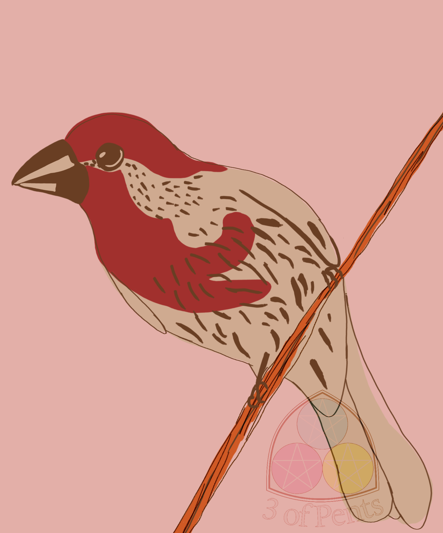 100 Palettes Challenge // Palette #6 // House Finch