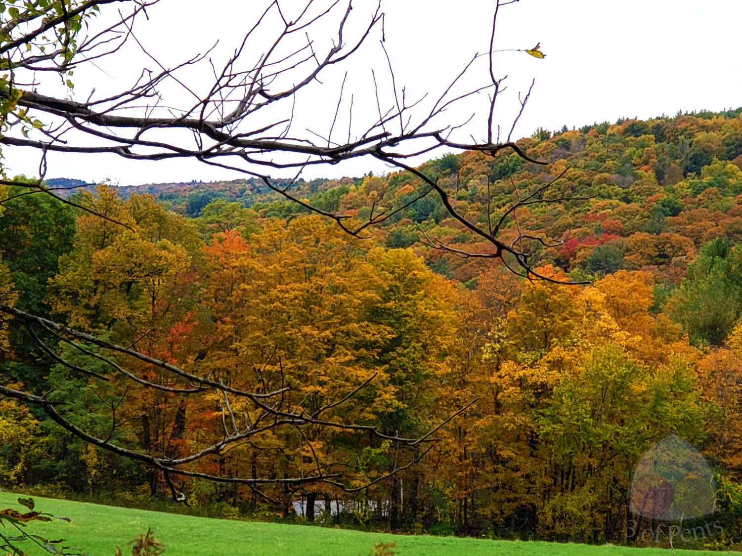 Photography // Bonnyvale Environmental Education Center #1