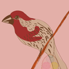 100 Palettes Challenge // Palette #6 // House Finch