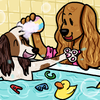 Bathtime for Cookie!