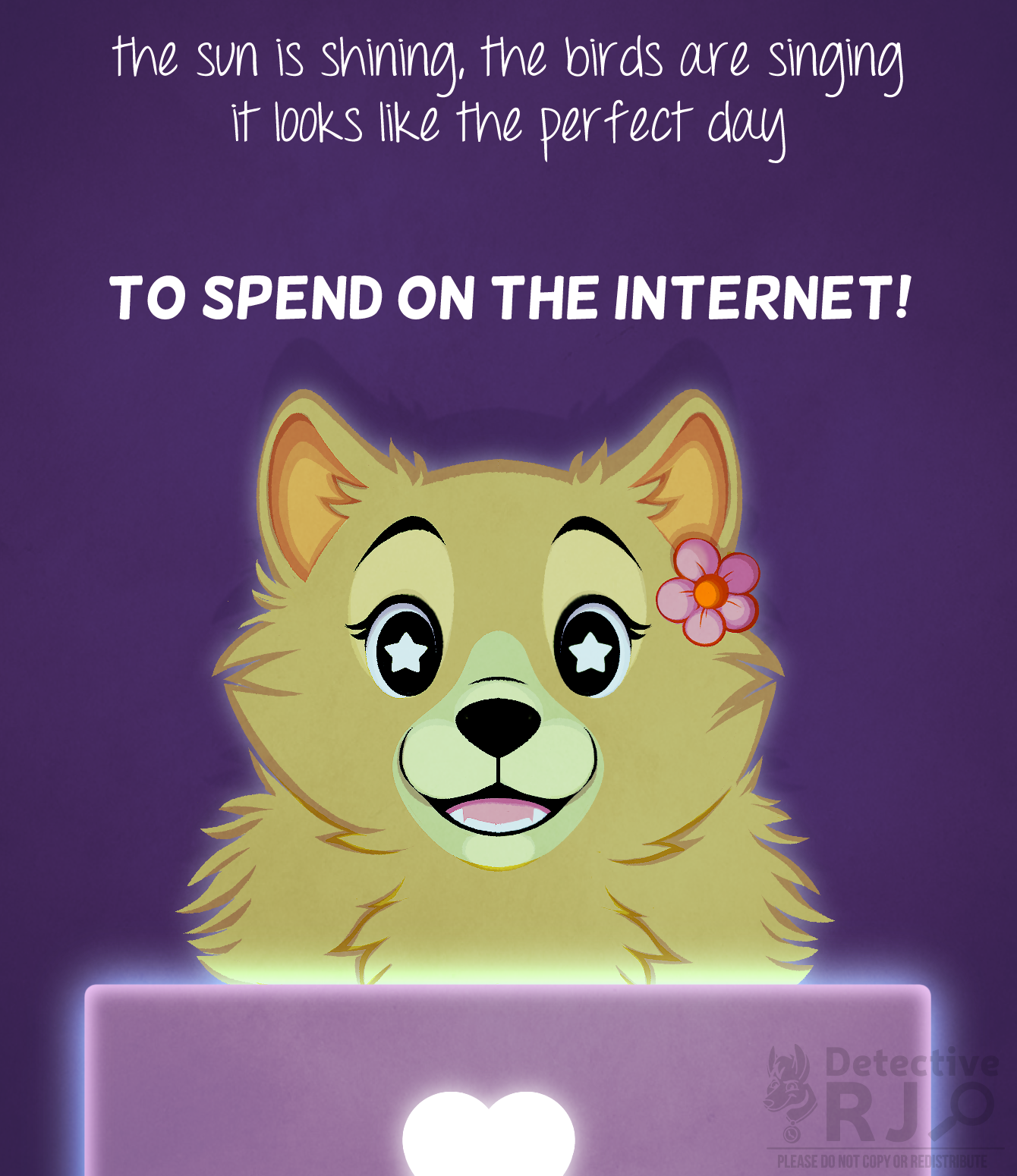 Pom Gets Wifi