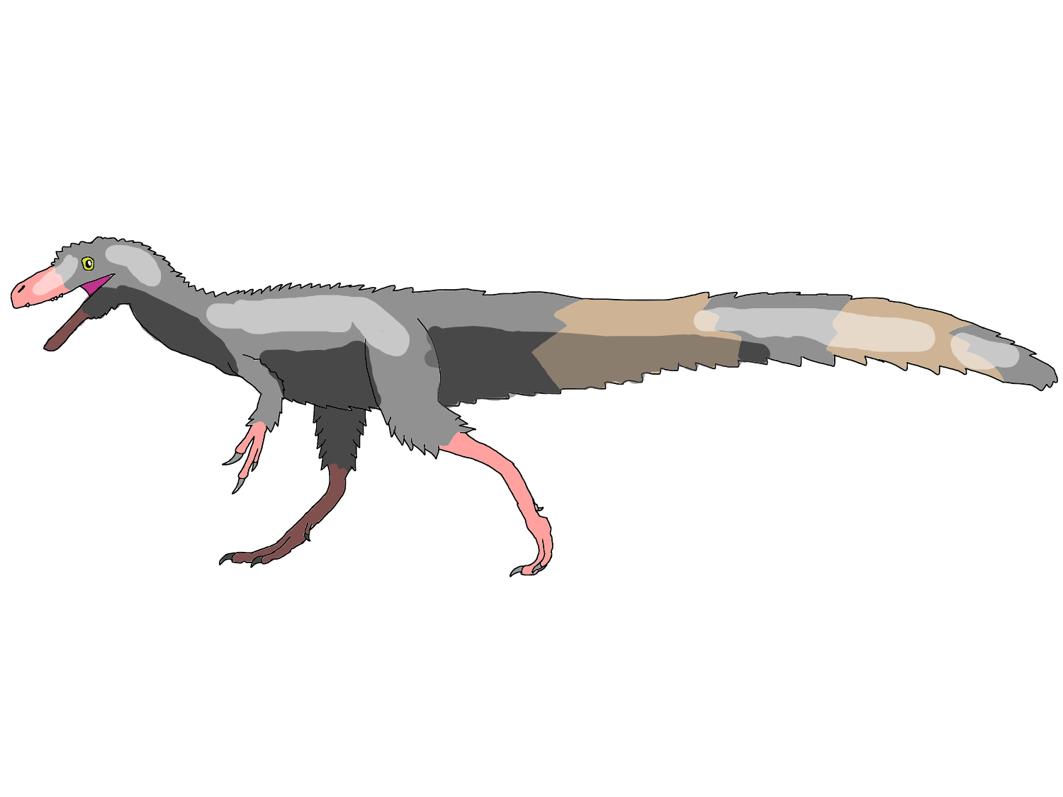 Huaxiagnathus