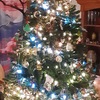 Family Christmas Tree