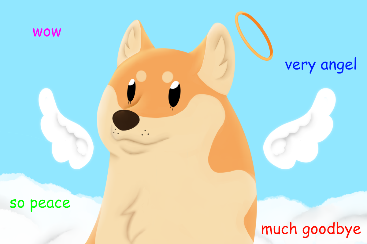 Doge