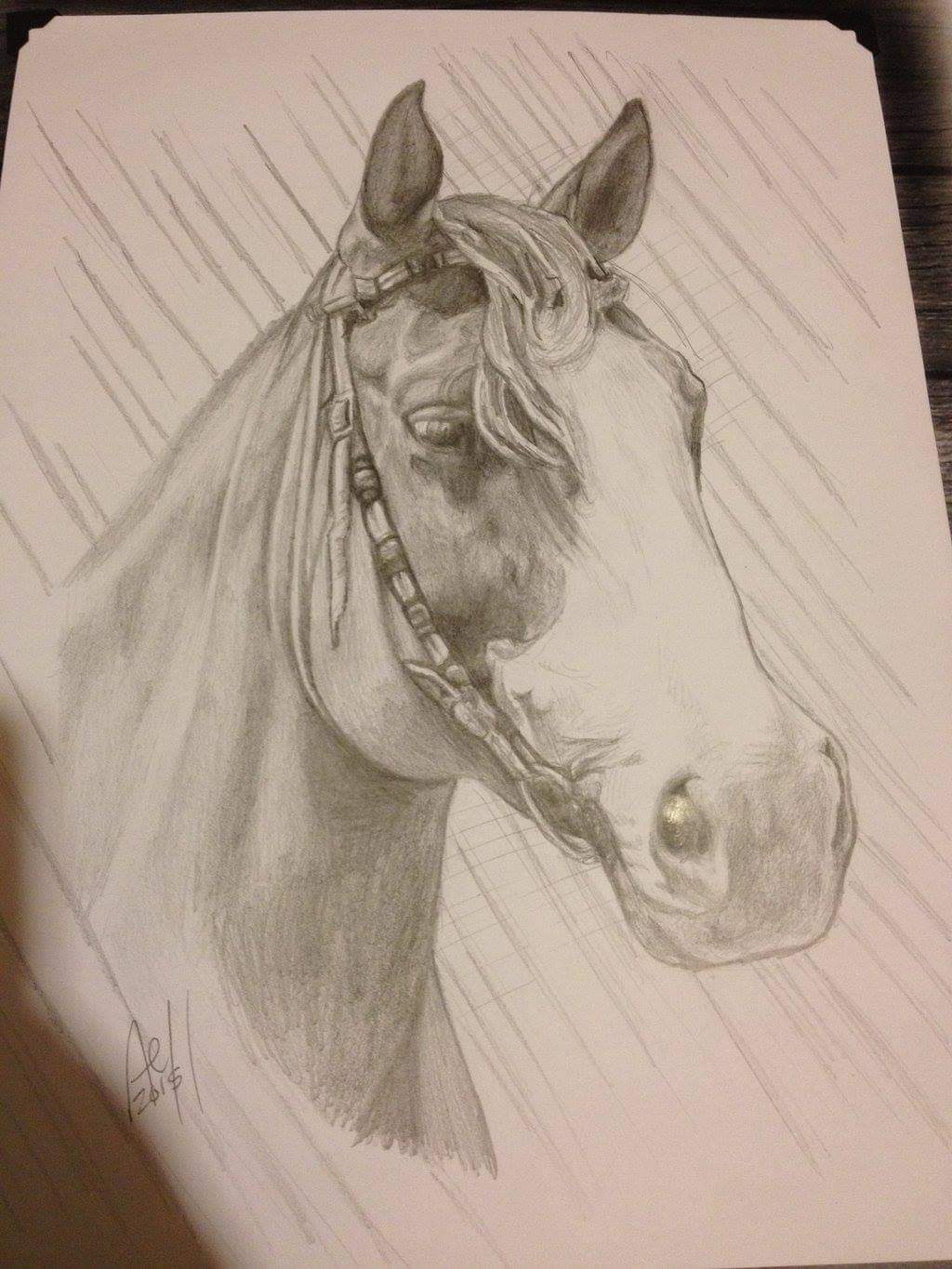 Horse Portrait 2